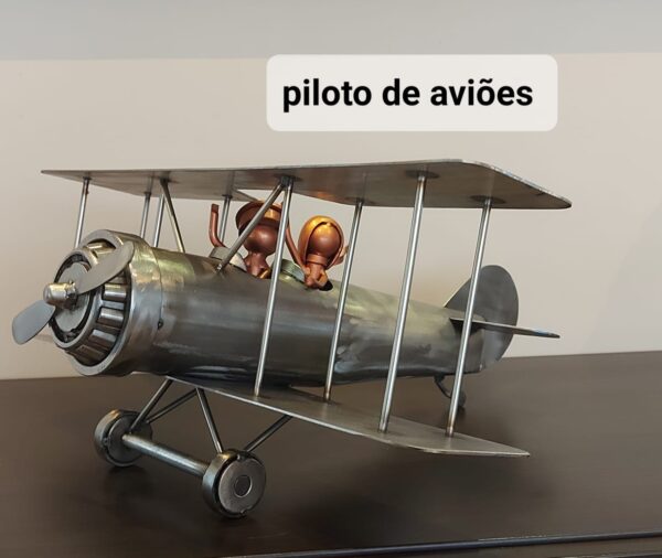Profession: Pilote